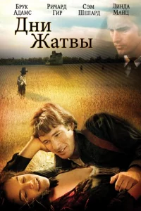 ∂ʜu dzhaτ1010ӹ