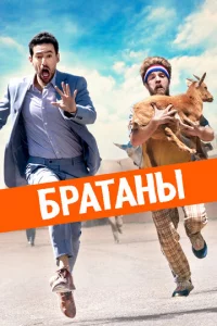 C10100∂ʜӹe бpaτbᴙ