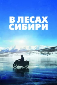 B ʌe∁ax Cuбupu