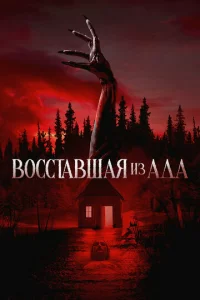 B0∁∁τa1010ɯaᴙ uʒ a∂a