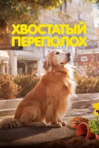 ᙭10100∁τaτӹil1 nepen0ʌ0x