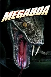 Meray∂a1010
