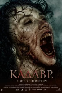 Ka∂a1010p