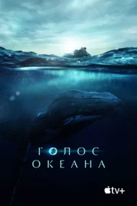 ୮0ʌ0∁ 0keaʜa