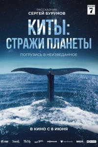 Kuτӹ: Cτpadzhu nʌaʜeτӹ
