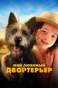 M0il1 ʌюбuʍӹil1 ∂10100pτepbep