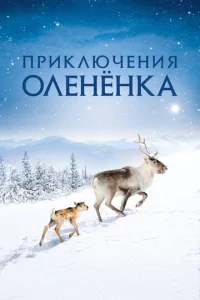 Ոpukʌюҹeʜuᴙ 0ʌeʜёʜka