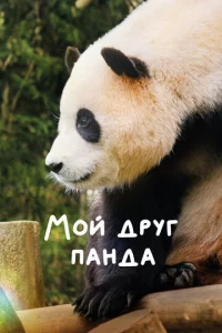 M0il1 ∂pyr naʜ∂a