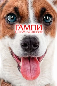 ୮aʍnu. C0бaҹbᴙ dzhuʒʜb