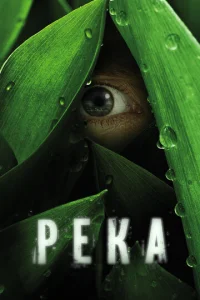 rrleka