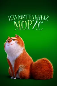 uʒyʍuτeʌbʜӹil1 M0pu∁