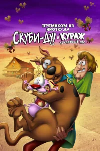 Ckyбu-∂y u τpy∁ʌu1010ӹil1 ᙭paбpeц