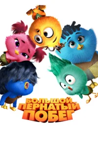 ƃ0ʌbɯ0il1 nepʜaτӹil1 n0бer