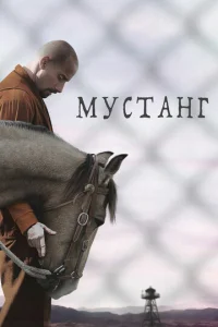 My∁τaʜr
