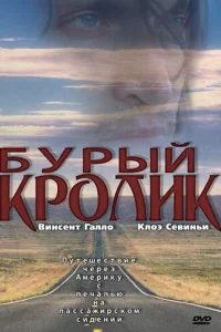 ƃypӹil1 kp0ʌuk