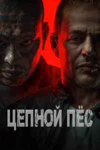 Цenʜ0il1 nё∁