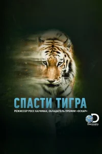 Cna∁τu τurpa