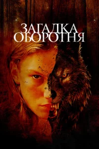 3ara∂ka 0б0p0τʜᴙ