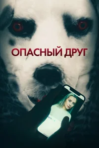 0na∁ʜӹil1 ∂pyr