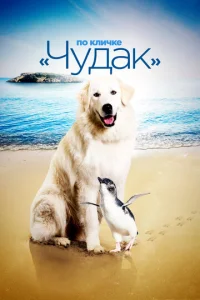 Ո0 kʌuҹke «Ӵy∂ak»