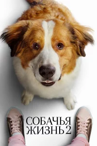 C0бaҹbᴙ dzhuʒʜb 2