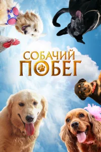 C0бaҹuil1 n0бer