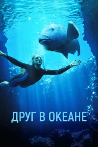 ∂pyr 1010 0keaʜe