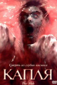 Kanʌᴙ