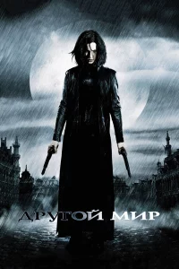 Дpyroй миp