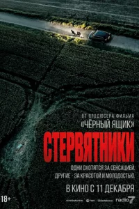 Cτep1010ᴙτʜuku